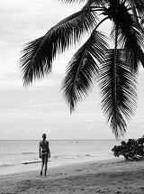 The image features a black and white scene of a woman walking along a sandy beach. She is seen from behind, strolling toward the water. A large palm tree with broad leaves arches overhead, adding a tropical feel to the setting. The sky is cloudy, and the ocean is visible in the background, creating a serene and tranquil atmosphere.